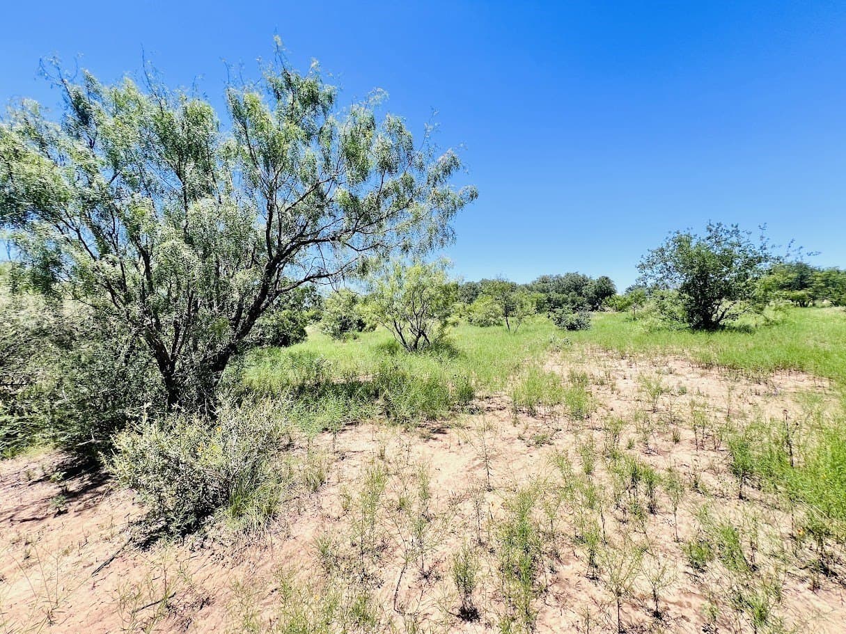 40 acres in Brown County gallery image 3