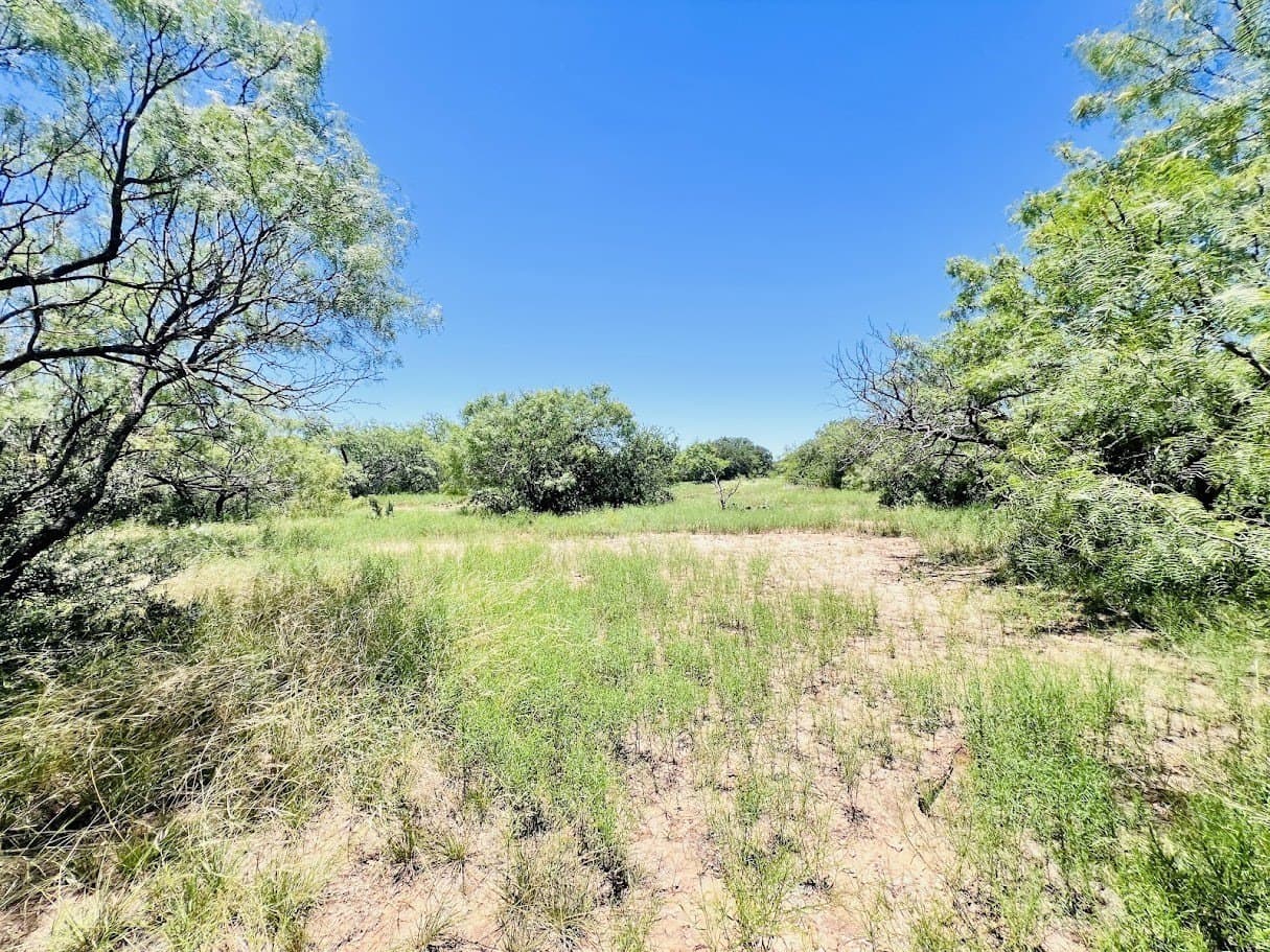 40 acres in Brown County featured view