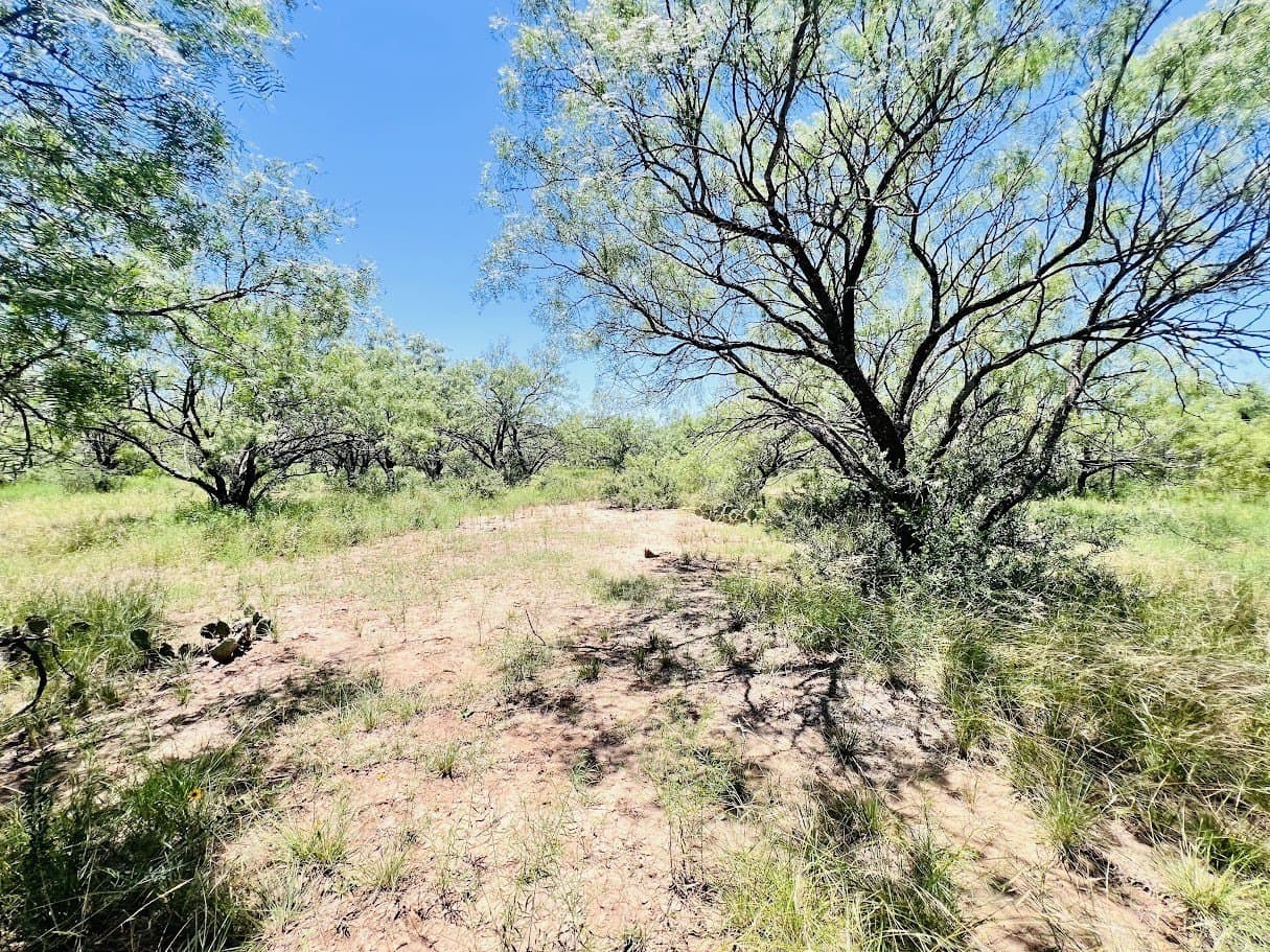 40 acres in Brown County - photo 6