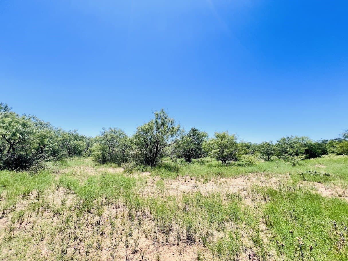 40 acres in Brown County gallery image 2