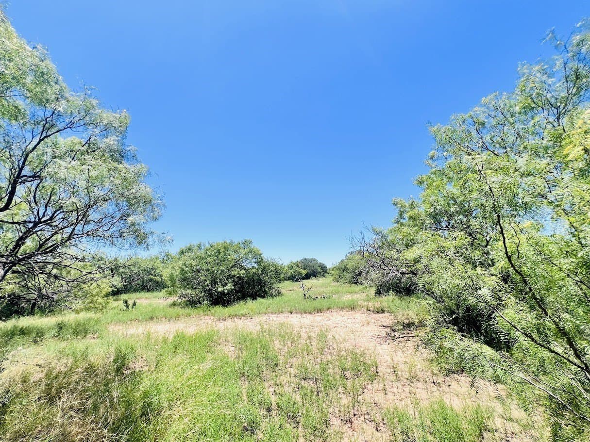 40 acres in Brown County - photo 7