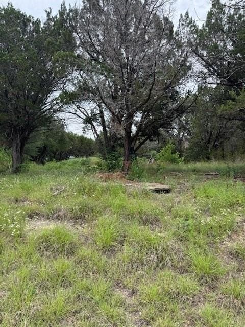 0.09 acres in Hood County gallery image 2