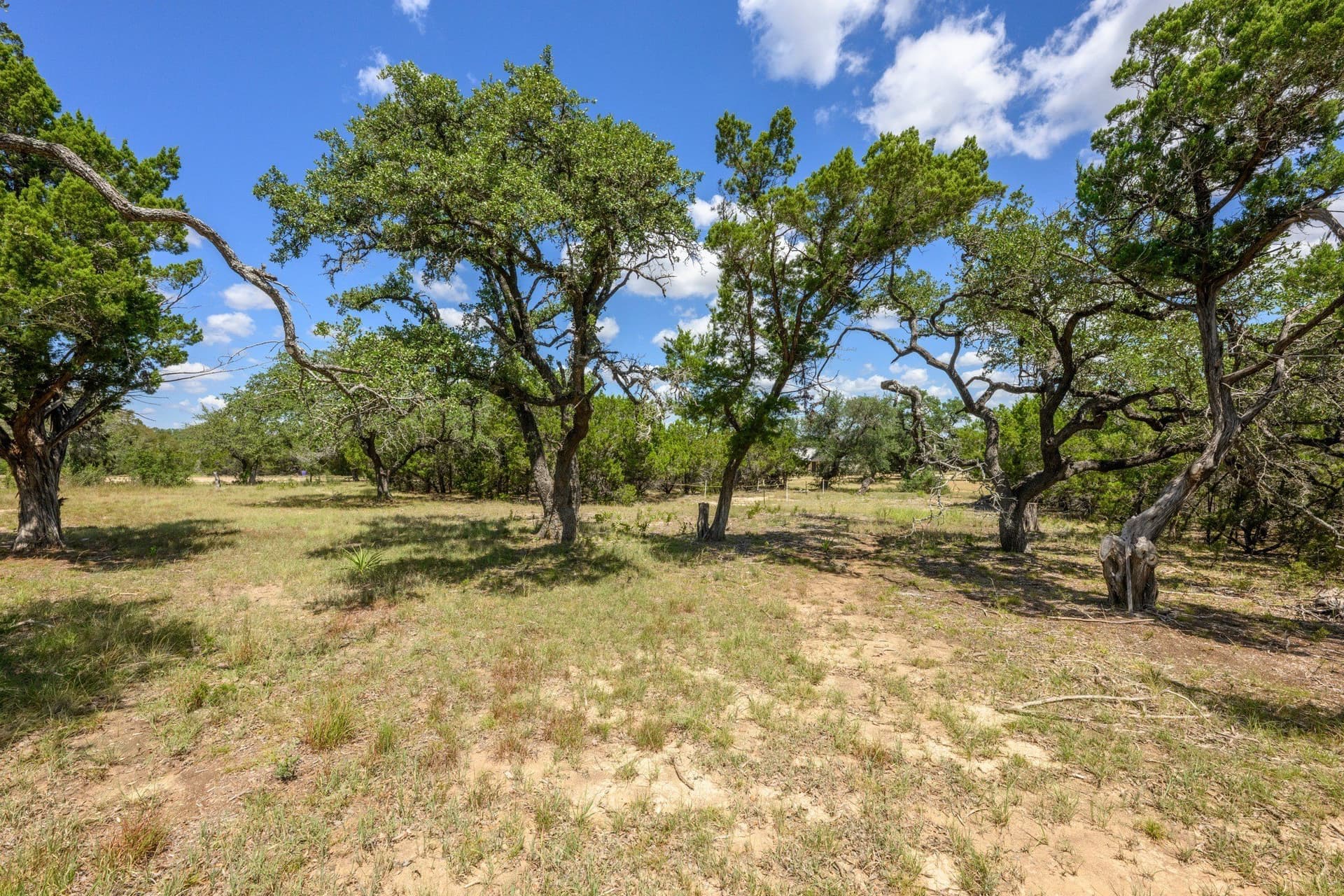 20.3 acres in Hays County - photo 34