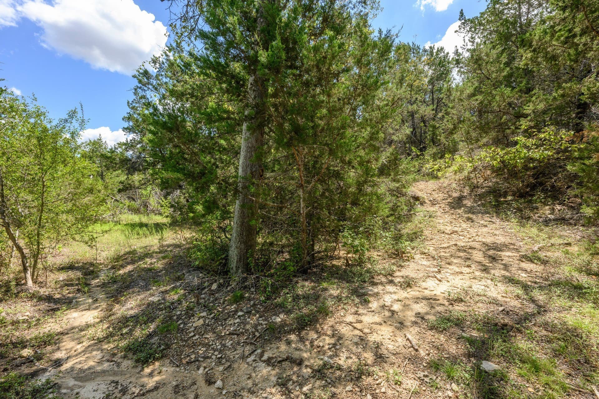 20.3 acres in Hays County - photo 31