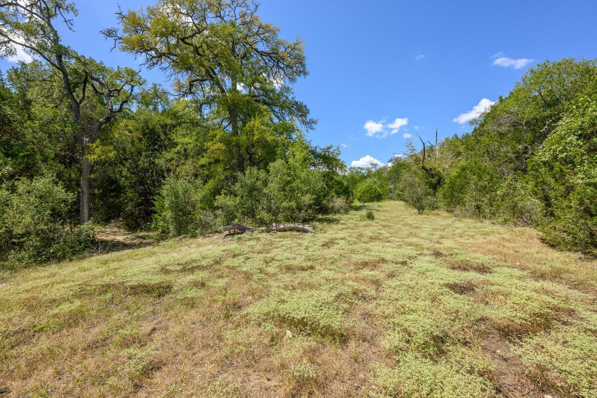 20.3 acres in Hays County - photo 30
