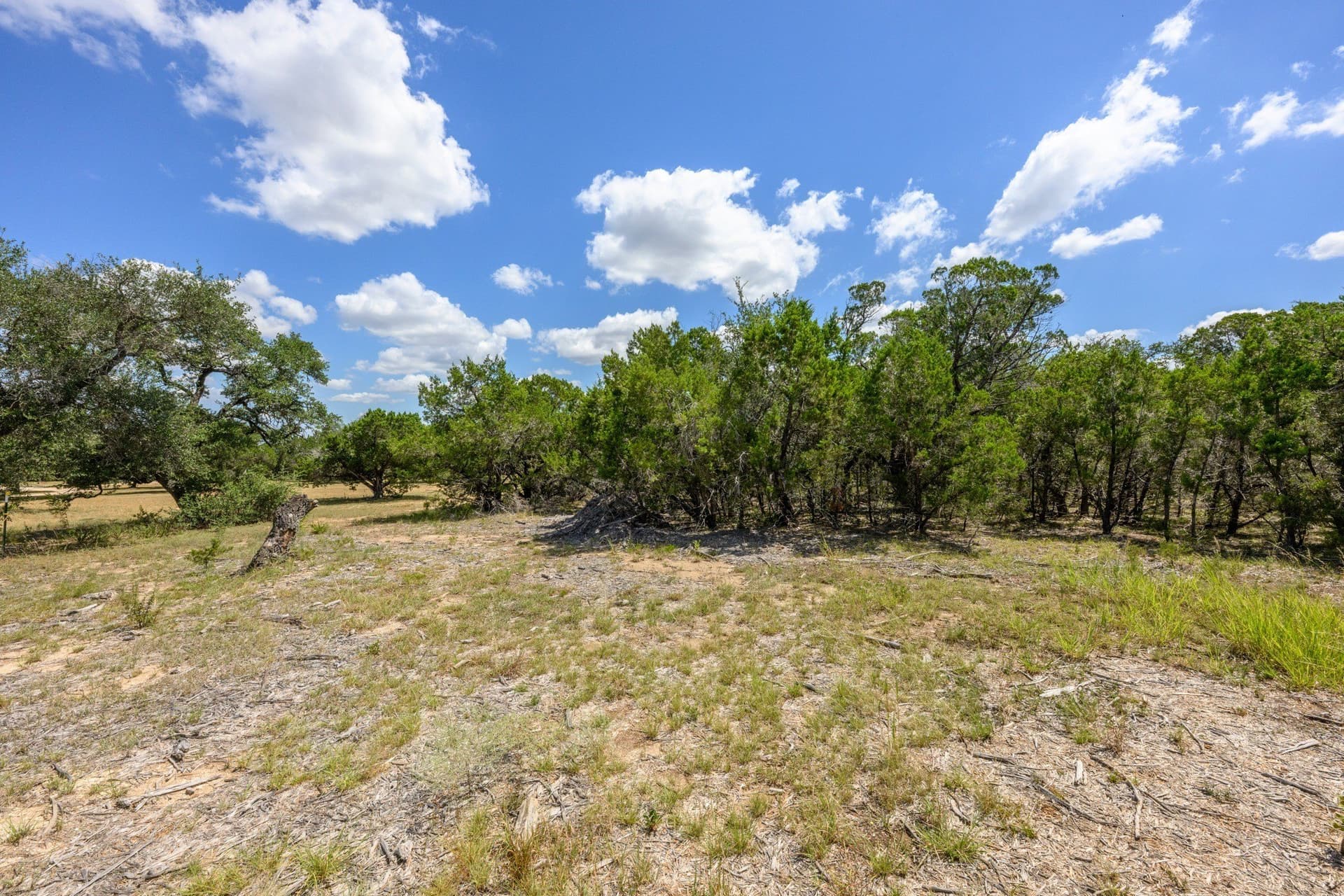 20.3 acres in Hays County - photo 33