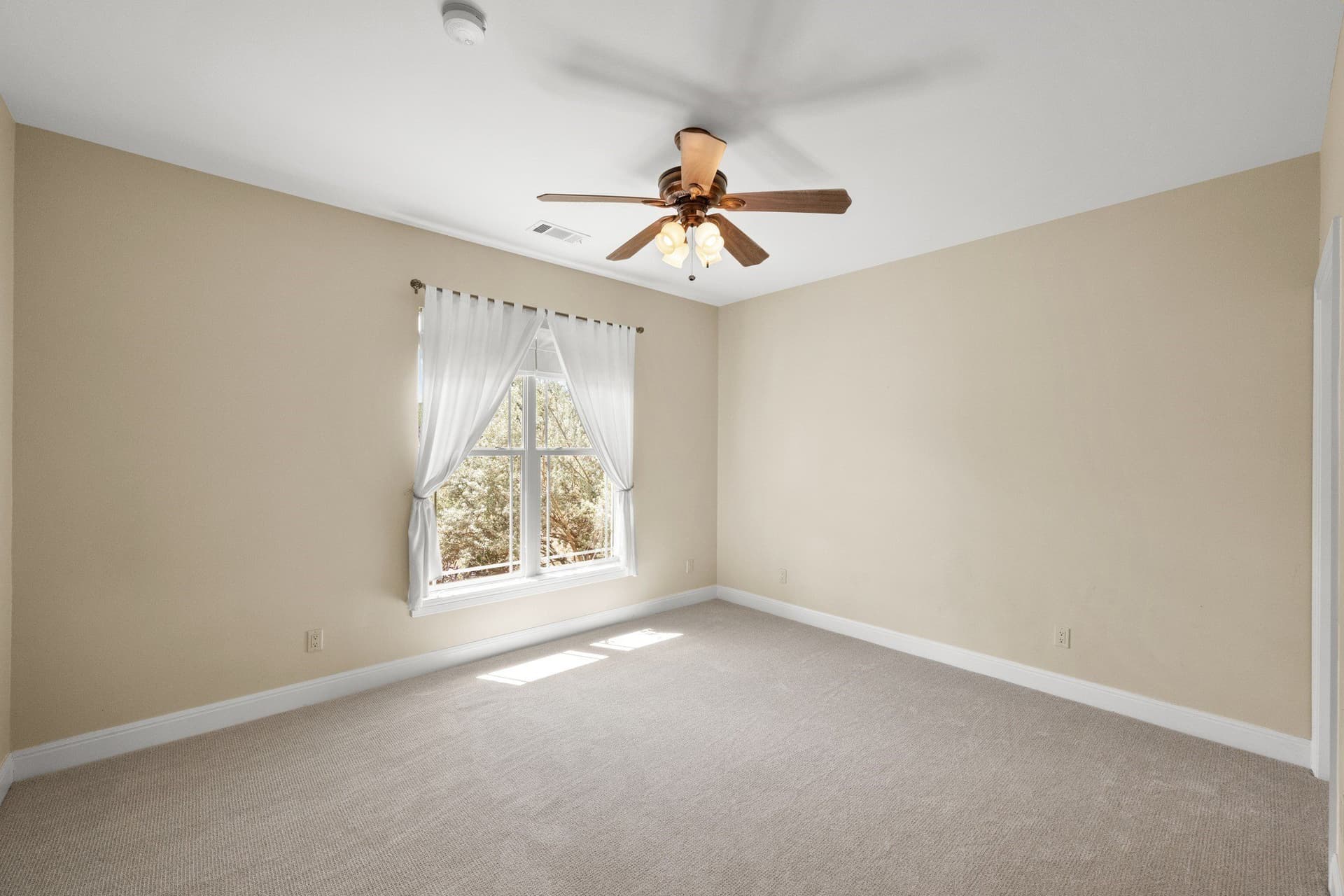 20.3 acres in Hays County - photo 15