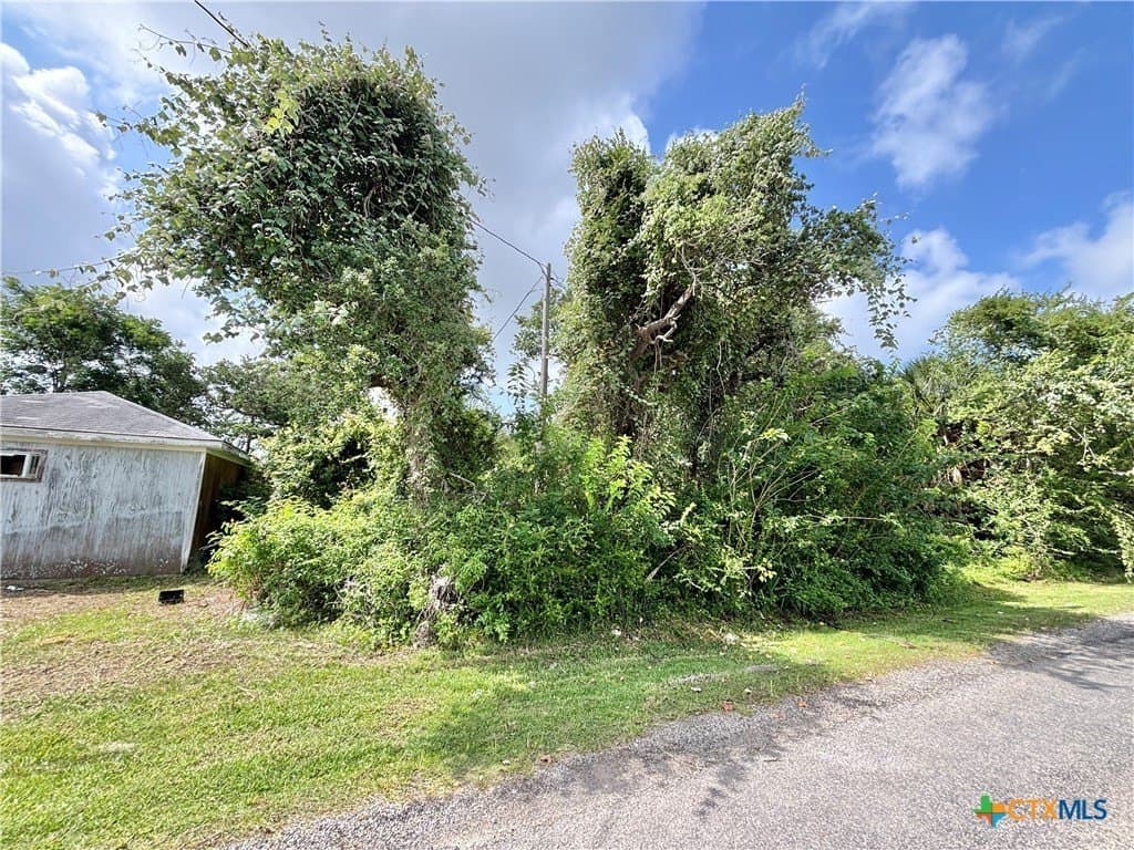 0.72 acres in Calhoun County - photo 11