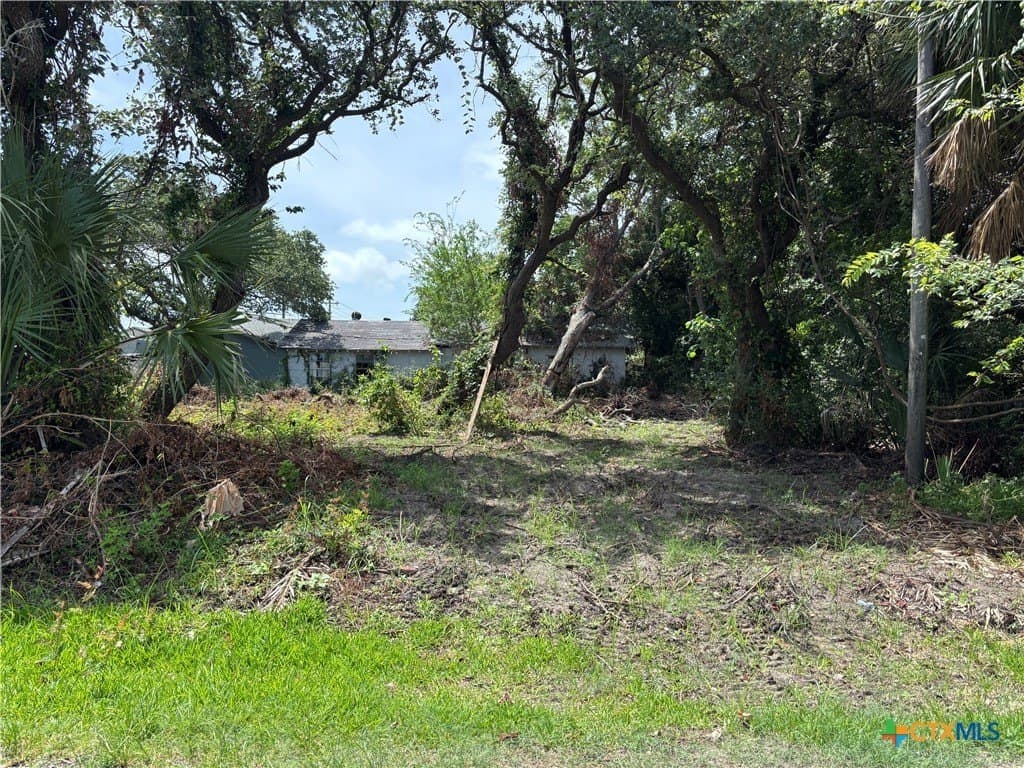 0.72 acres in Calhoun County - photo 17