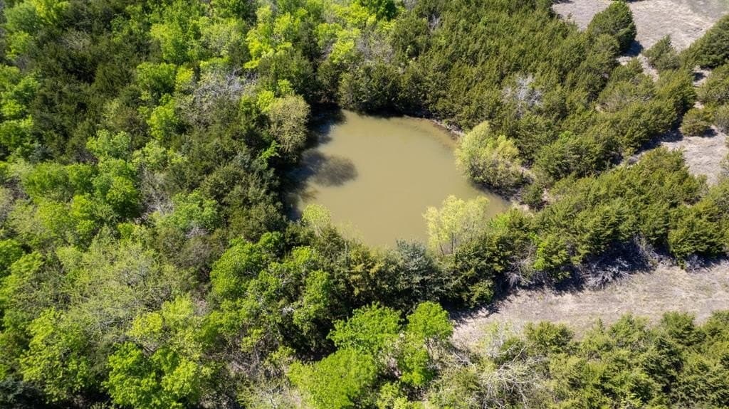 101.5 acres in Fannin County gallery image 3