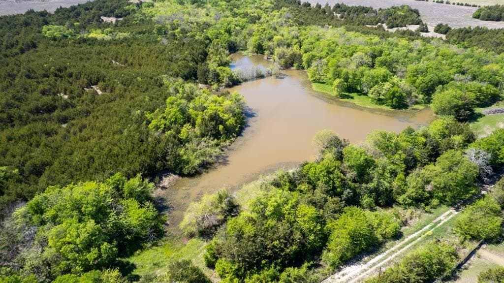 101.5 acres in Fannin County featured view