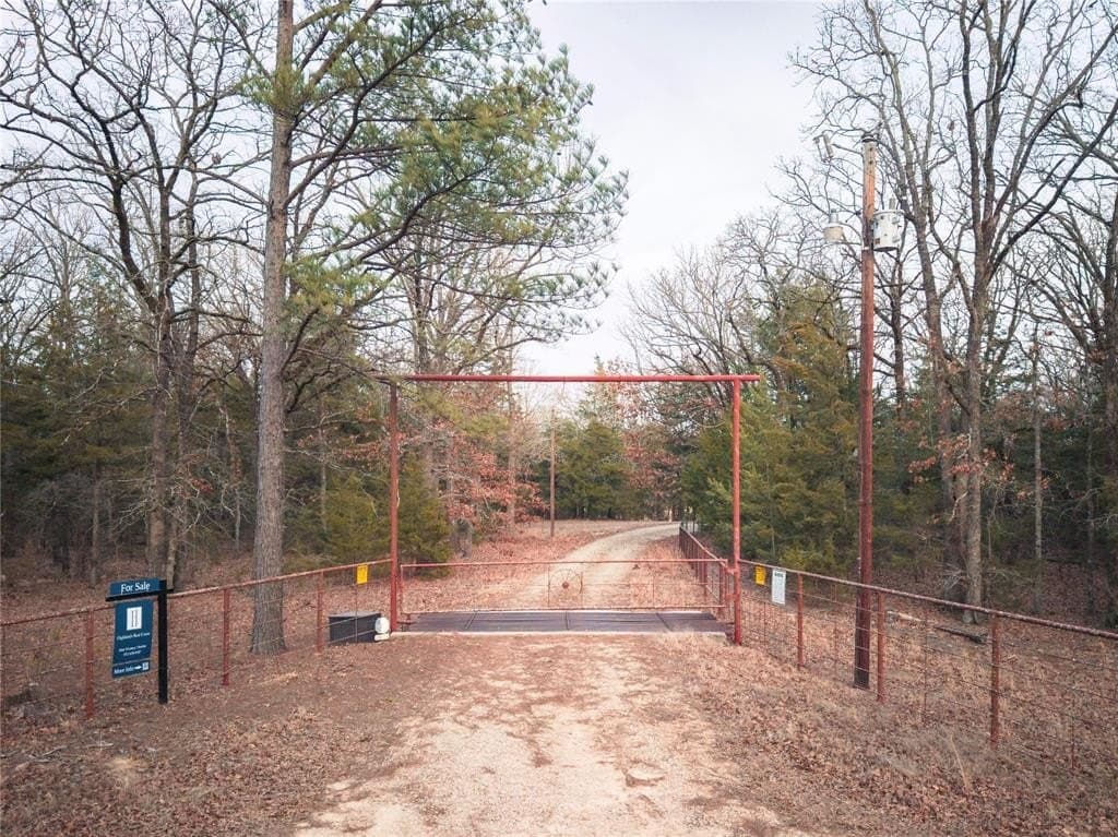 15.49 acres in Fannin County gallery image 3