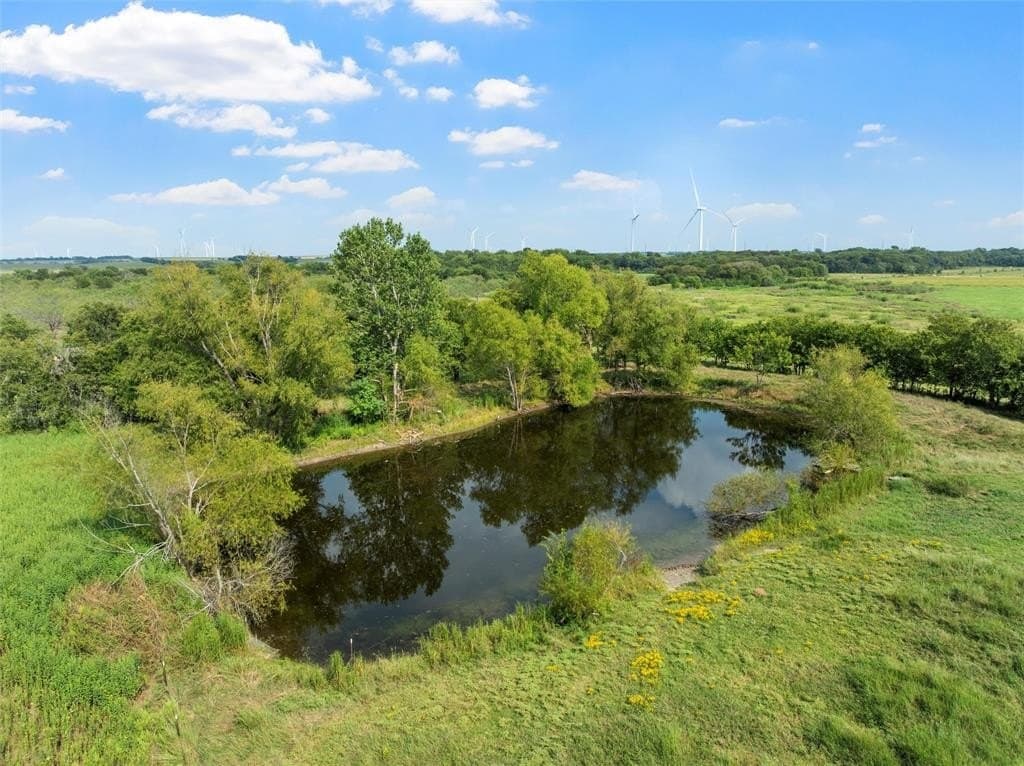 12.48 acres in McLennan County gallery image 4