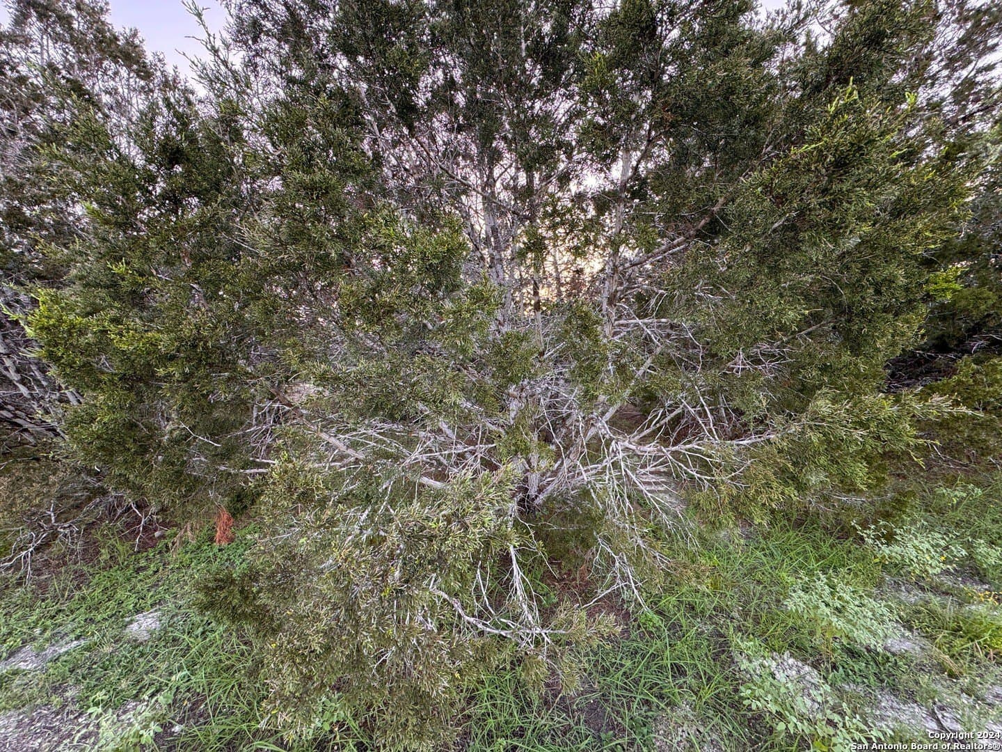1.23 acres in Comal County - photo 7