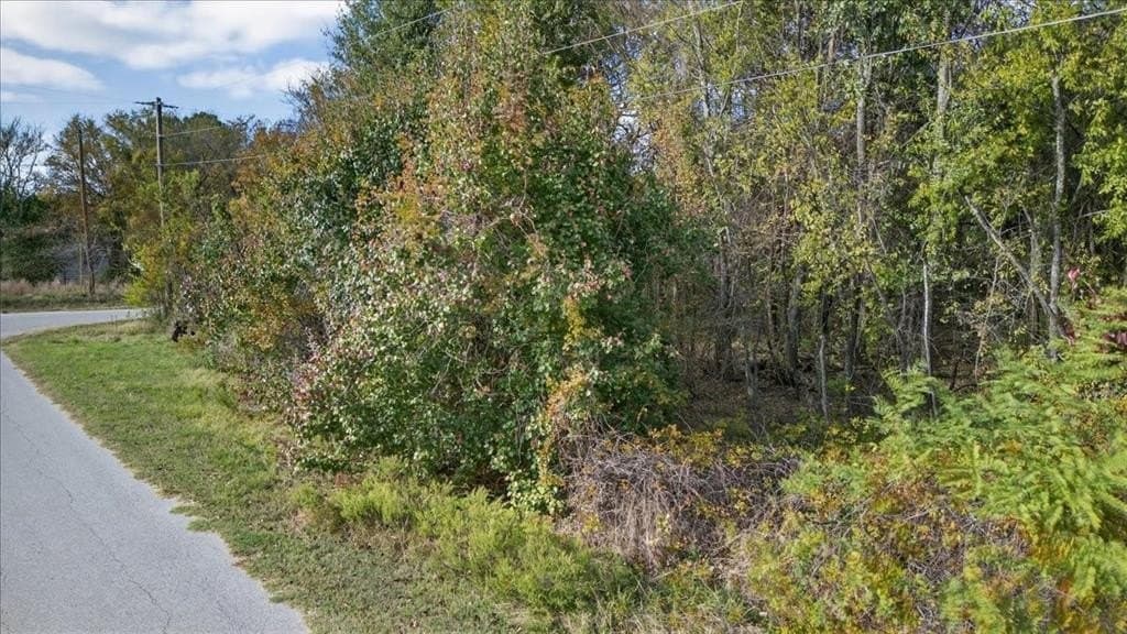 0.25 acres in Henderson County featured view