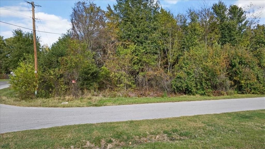 0.25 acres in Henderson County gallery image 4