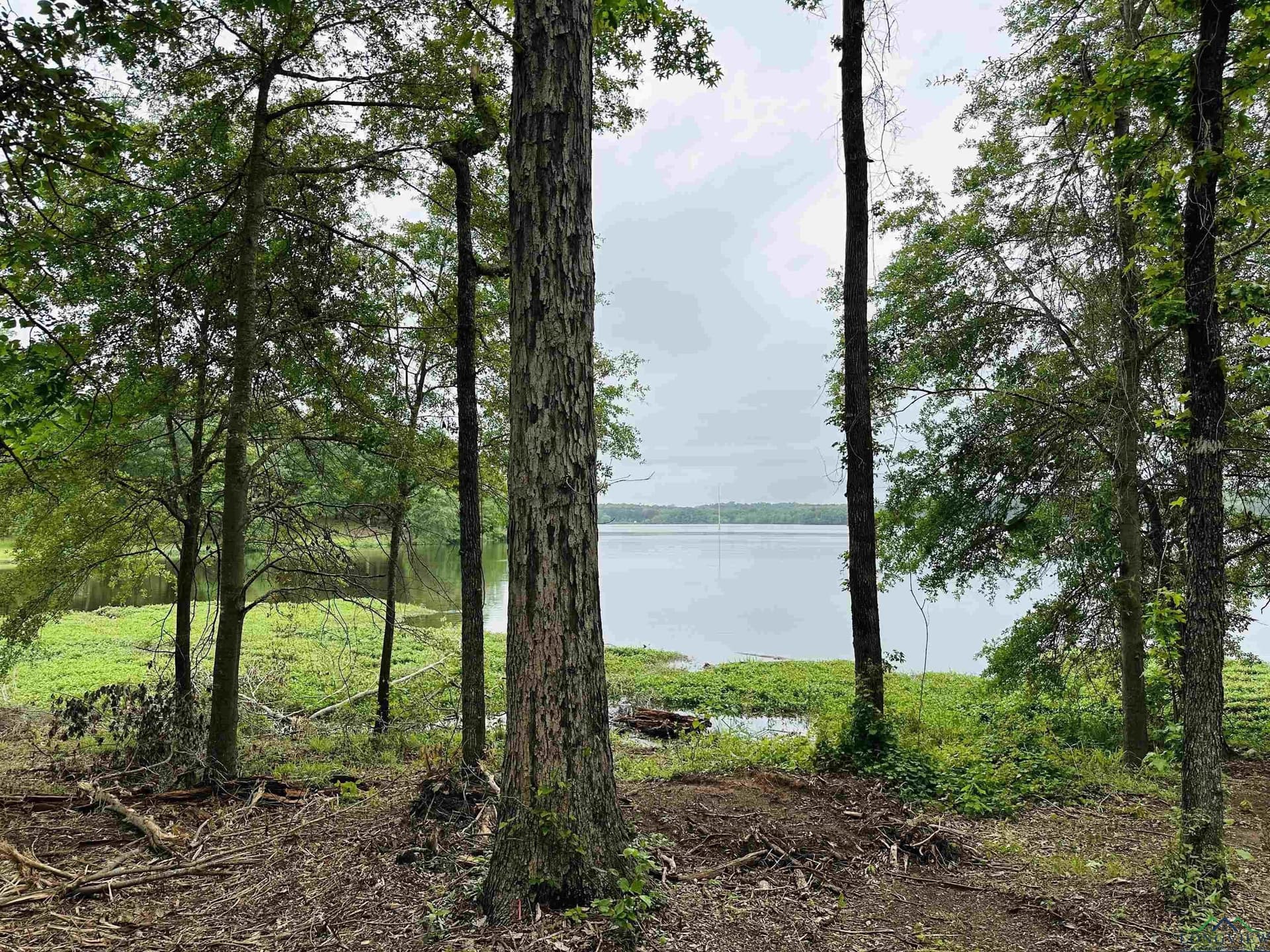1.45 acres in Texas County