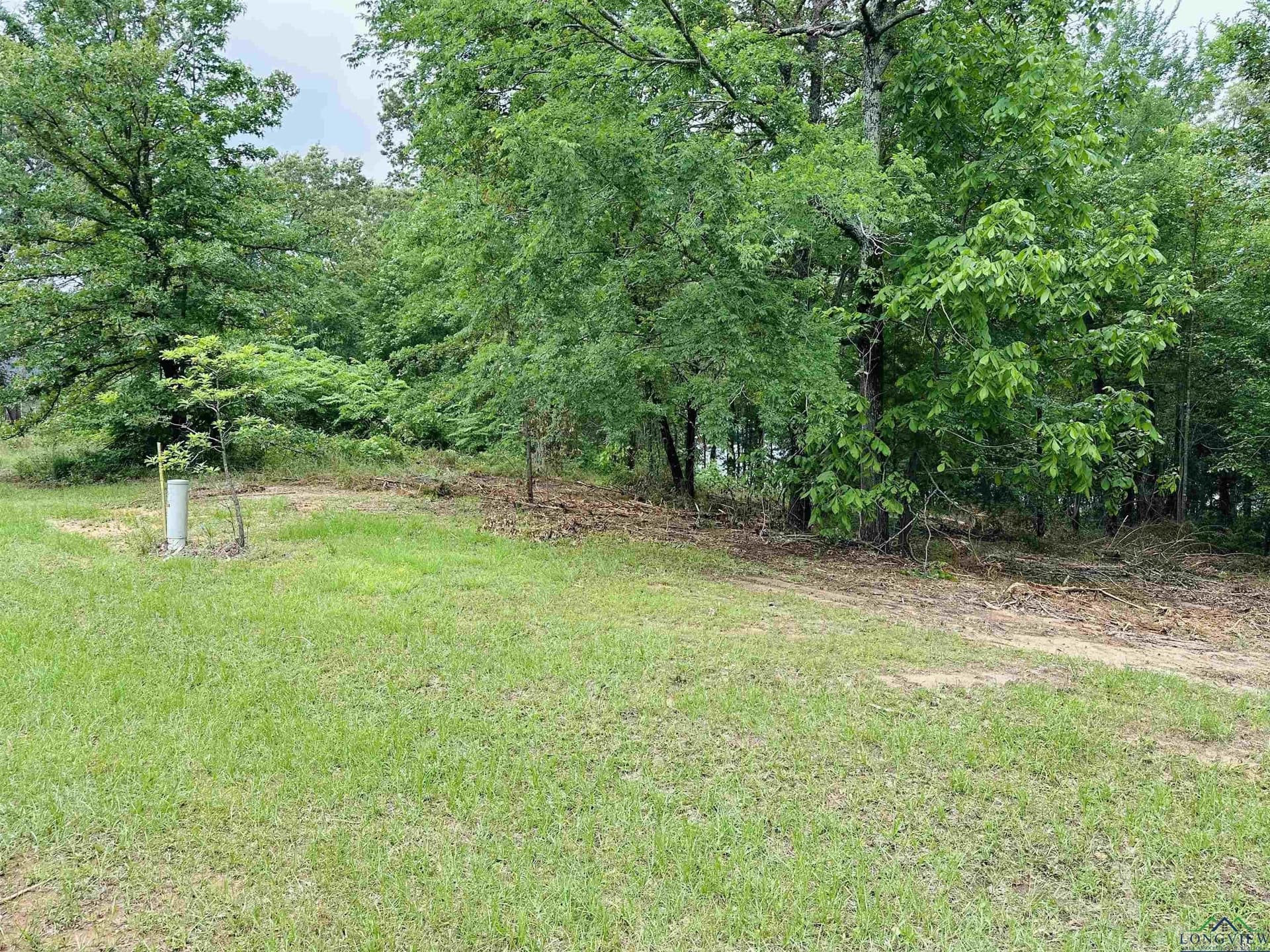 1.45 acres in Texas County gallery image 4