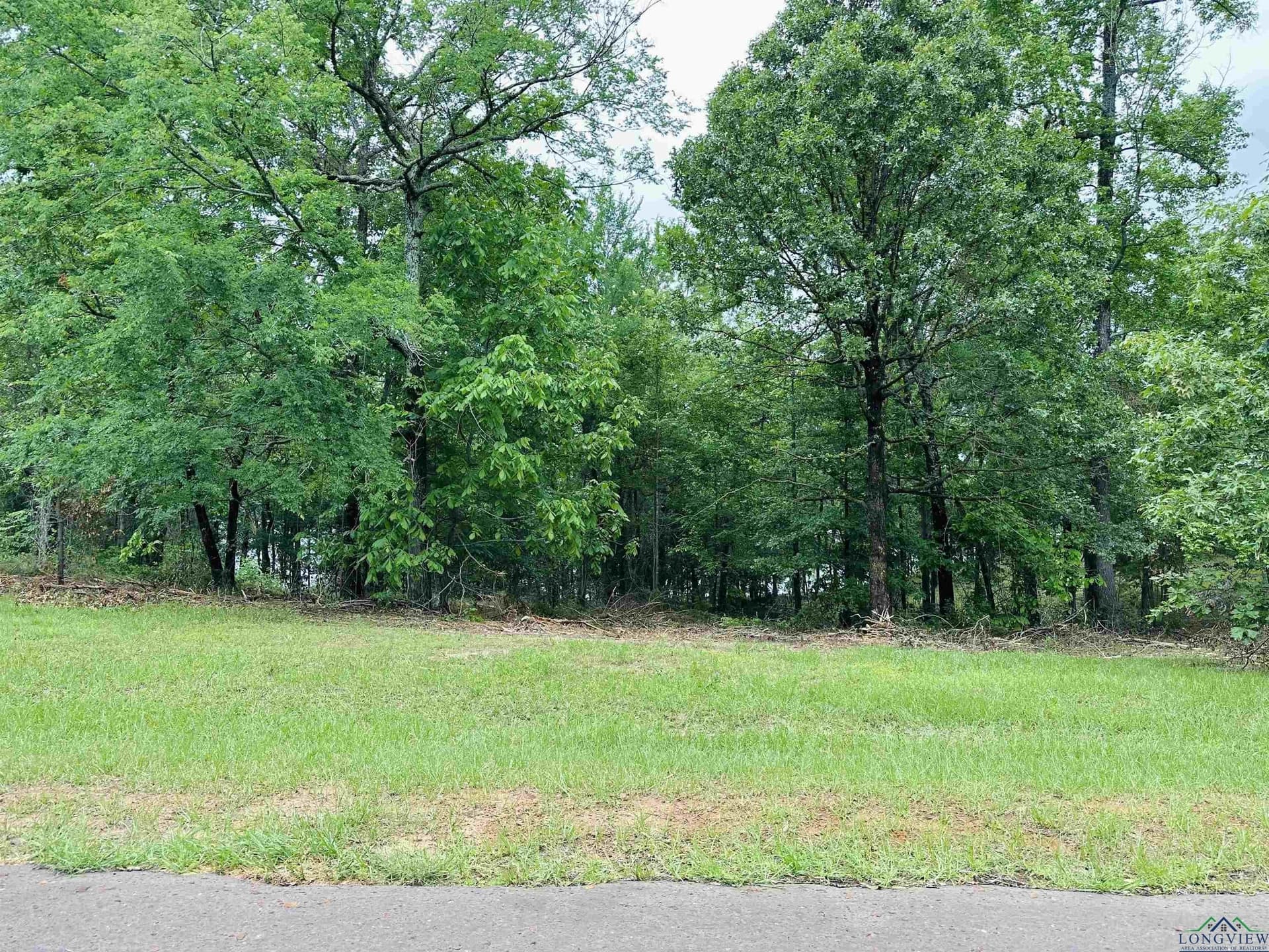 1.45 acres in Texas County gallery image 3