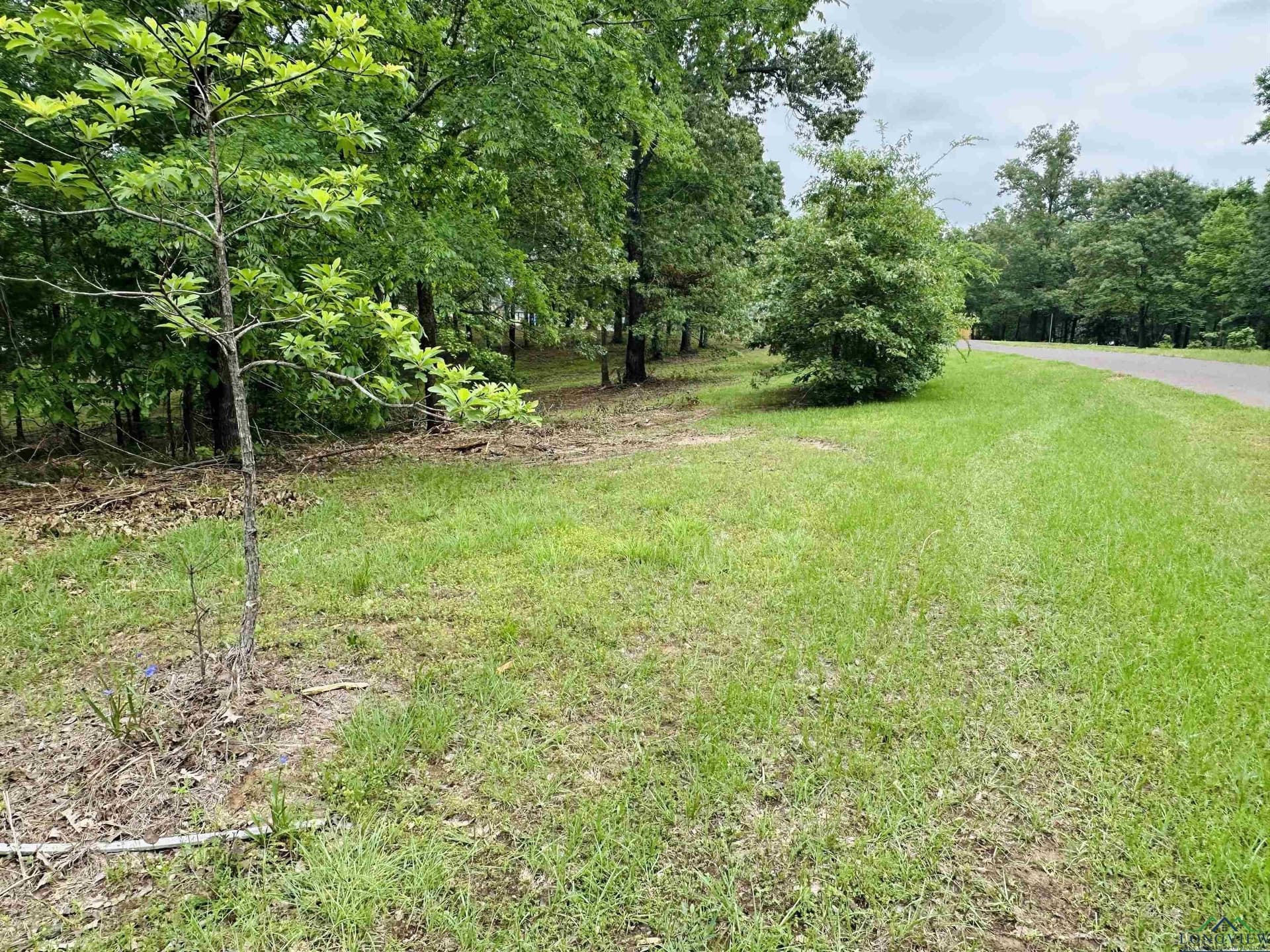 1.45 acres in Texas County gallery image 2