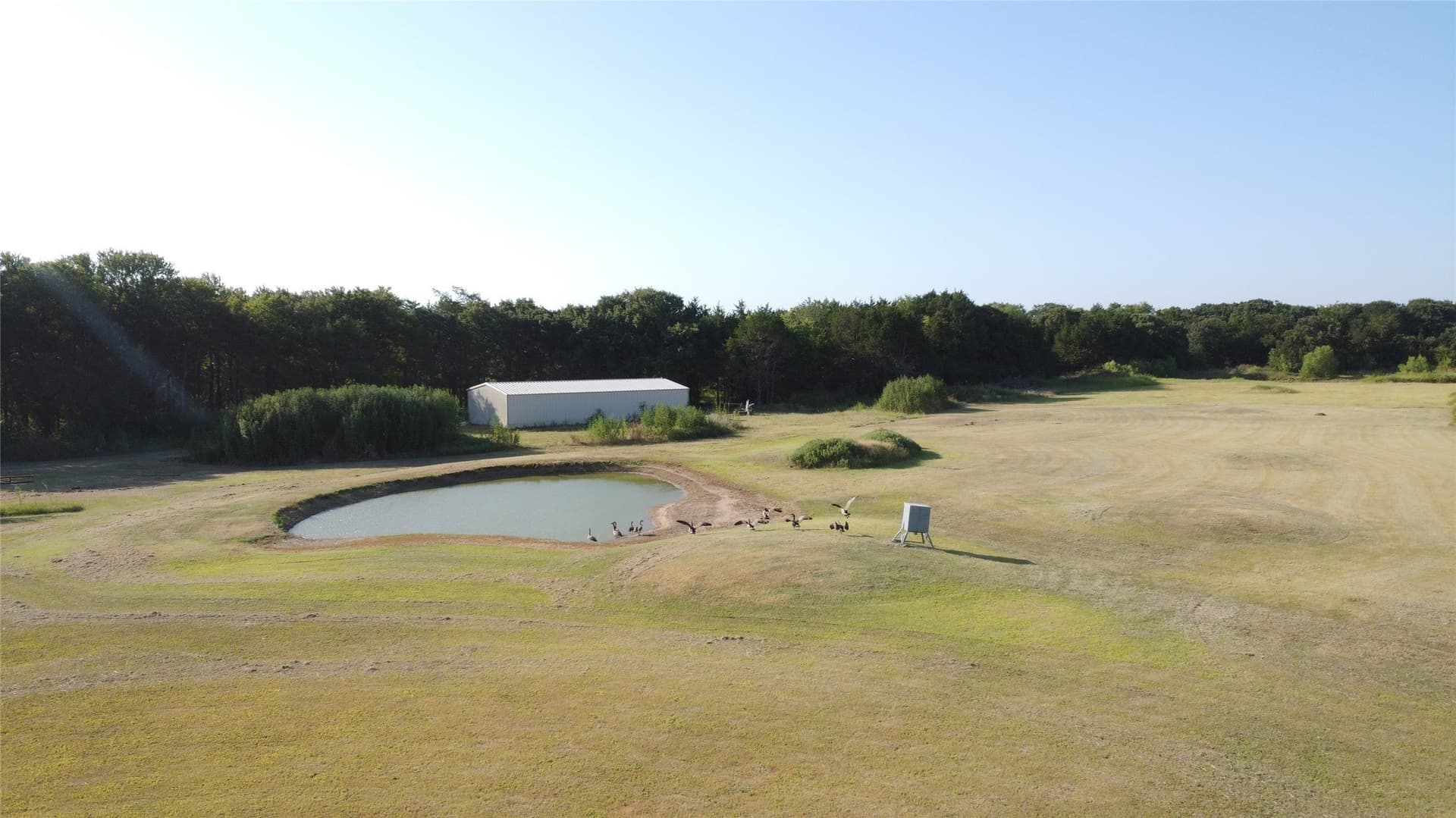 52.63 acres in Grayson County - photo 29