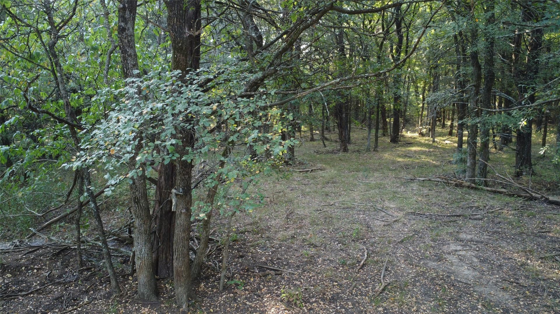 52.63 acres in Grayson County - photo 25