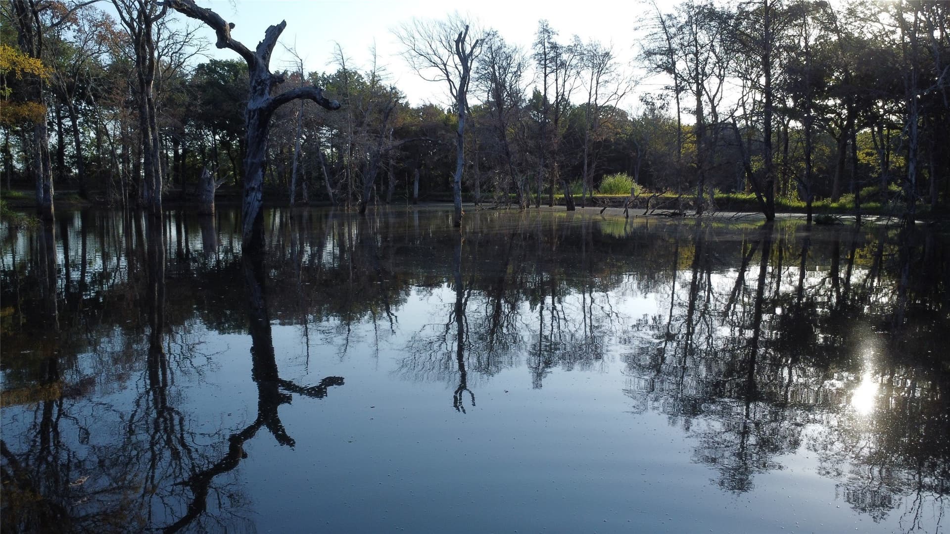52.63 acres in Grayson County - photo 7