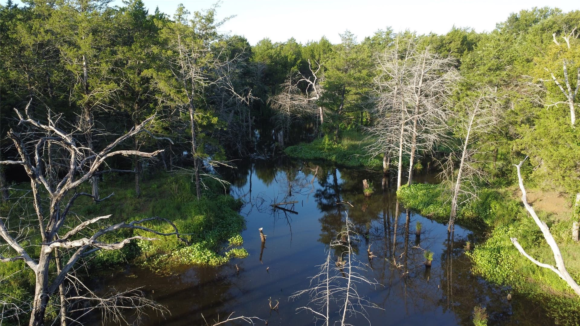 52.63 acres in Grayson County - photo 12