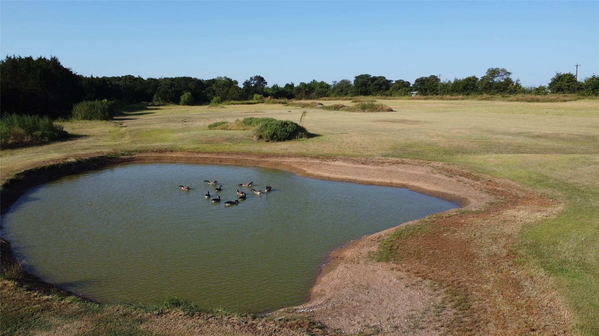 52.63 acres in Grayson County - photo 31