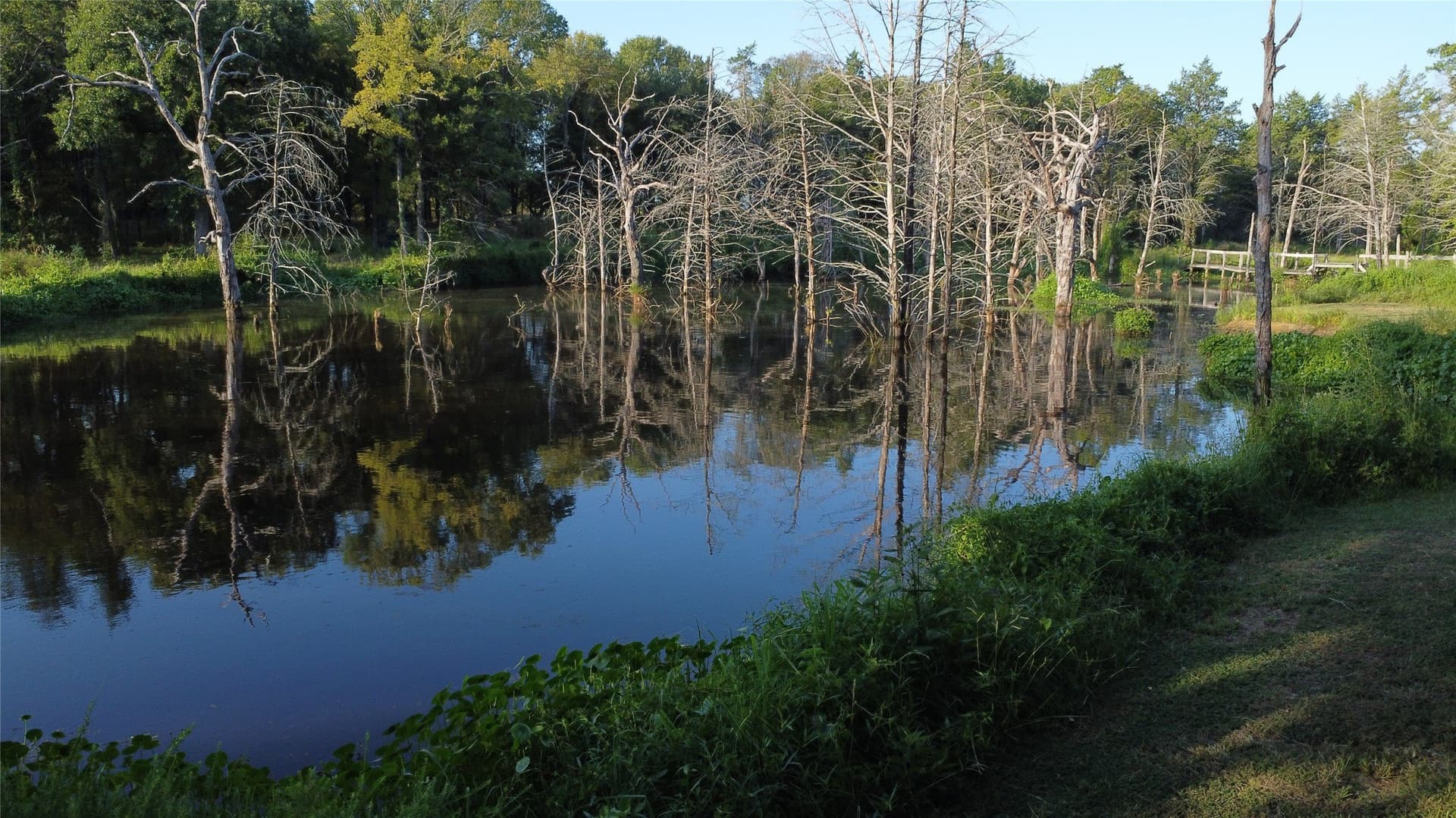 52.63 acres in Grayson County - photo 11