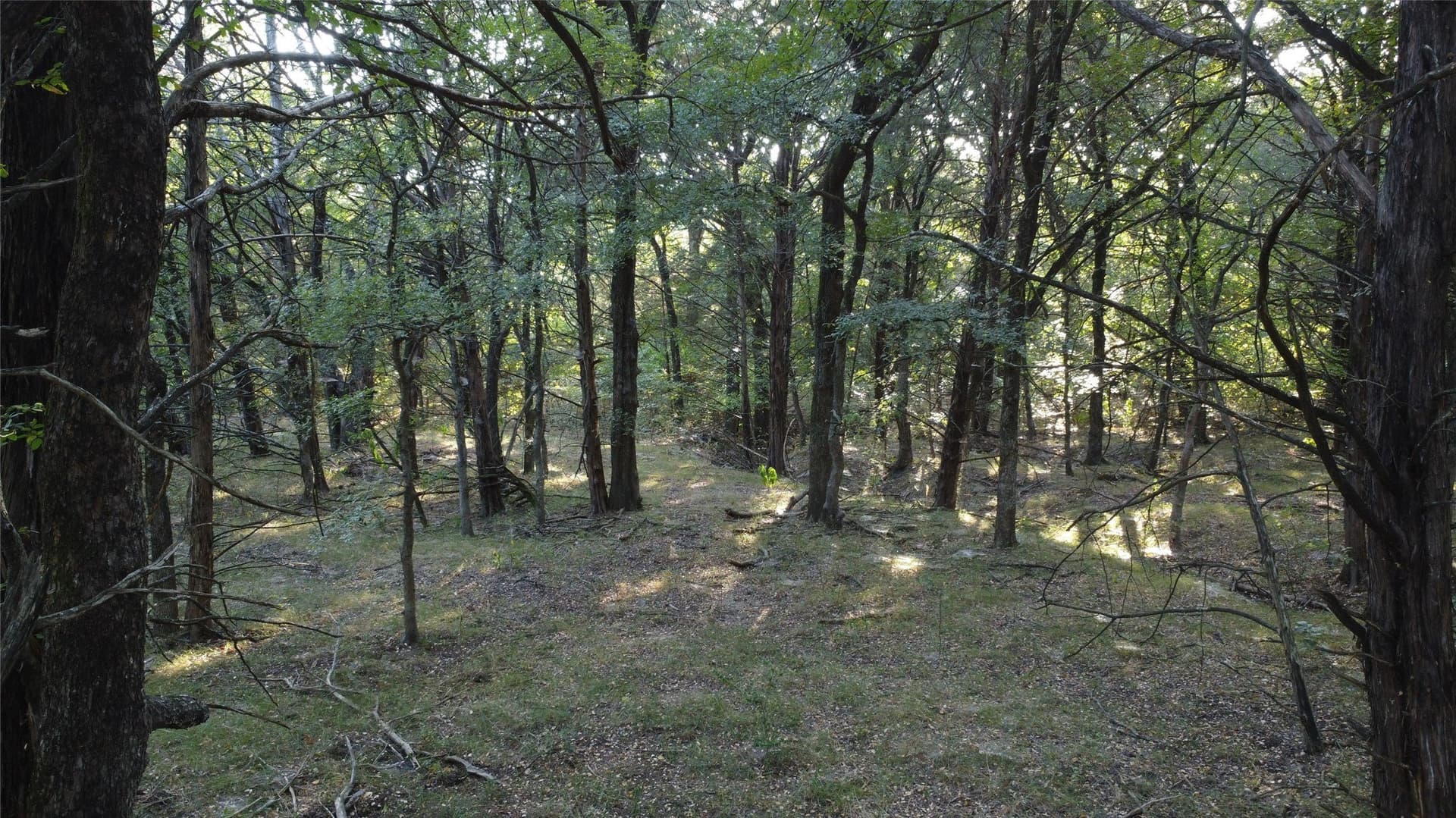52.63 acres in Grayson County - photo 26