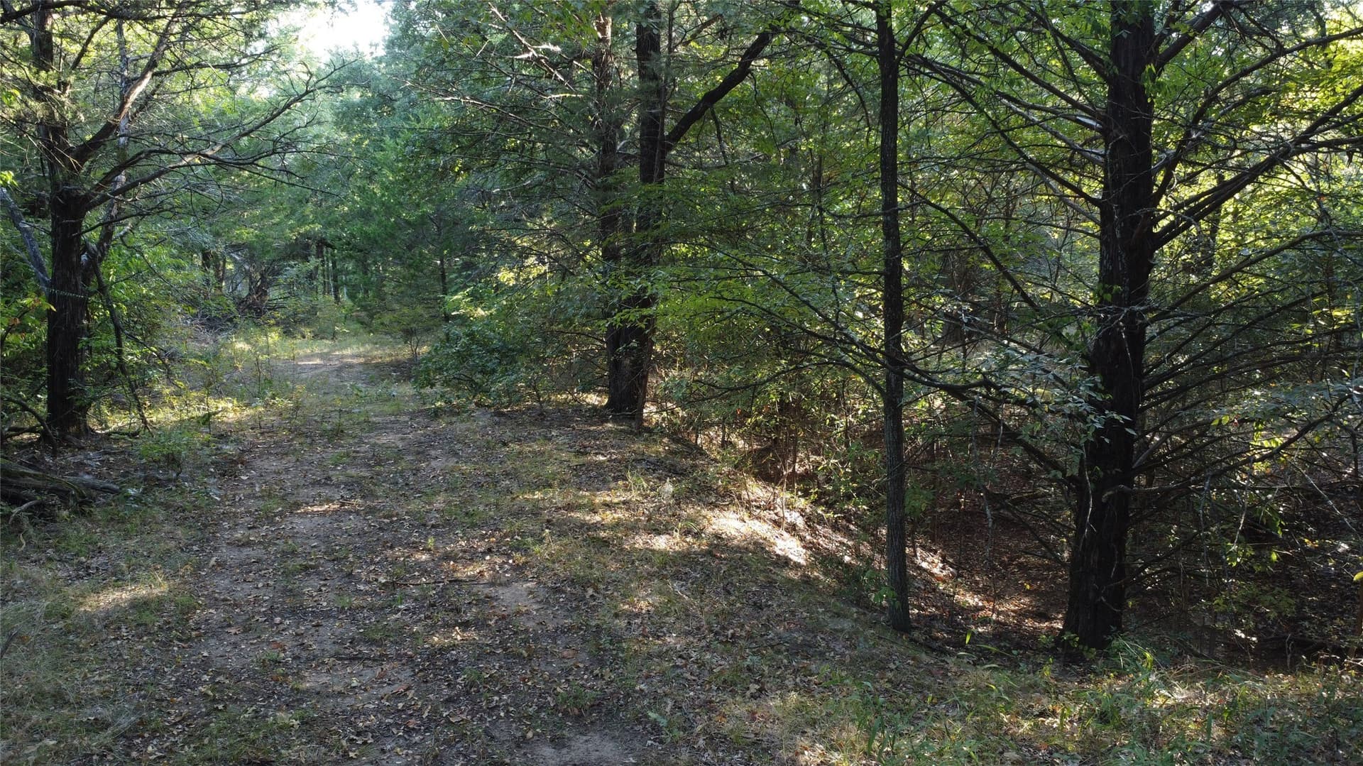 52.63 acres in Grayson County - photo 27