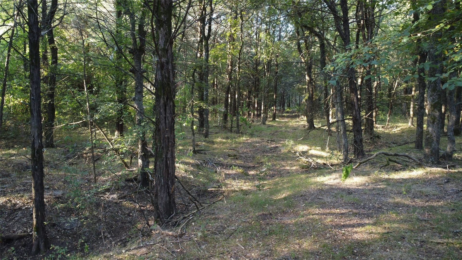 52.63 acres in Grayson County - photo 28