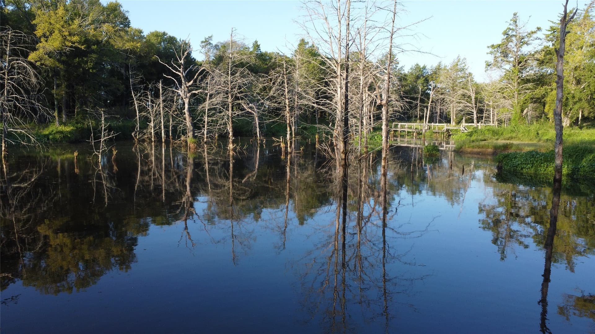 52.63 acres in Grayson County - photo 2