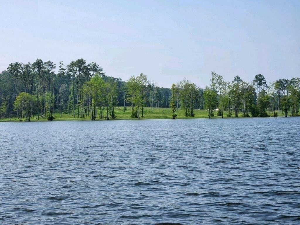 1 acres in Texas County gallery image 2