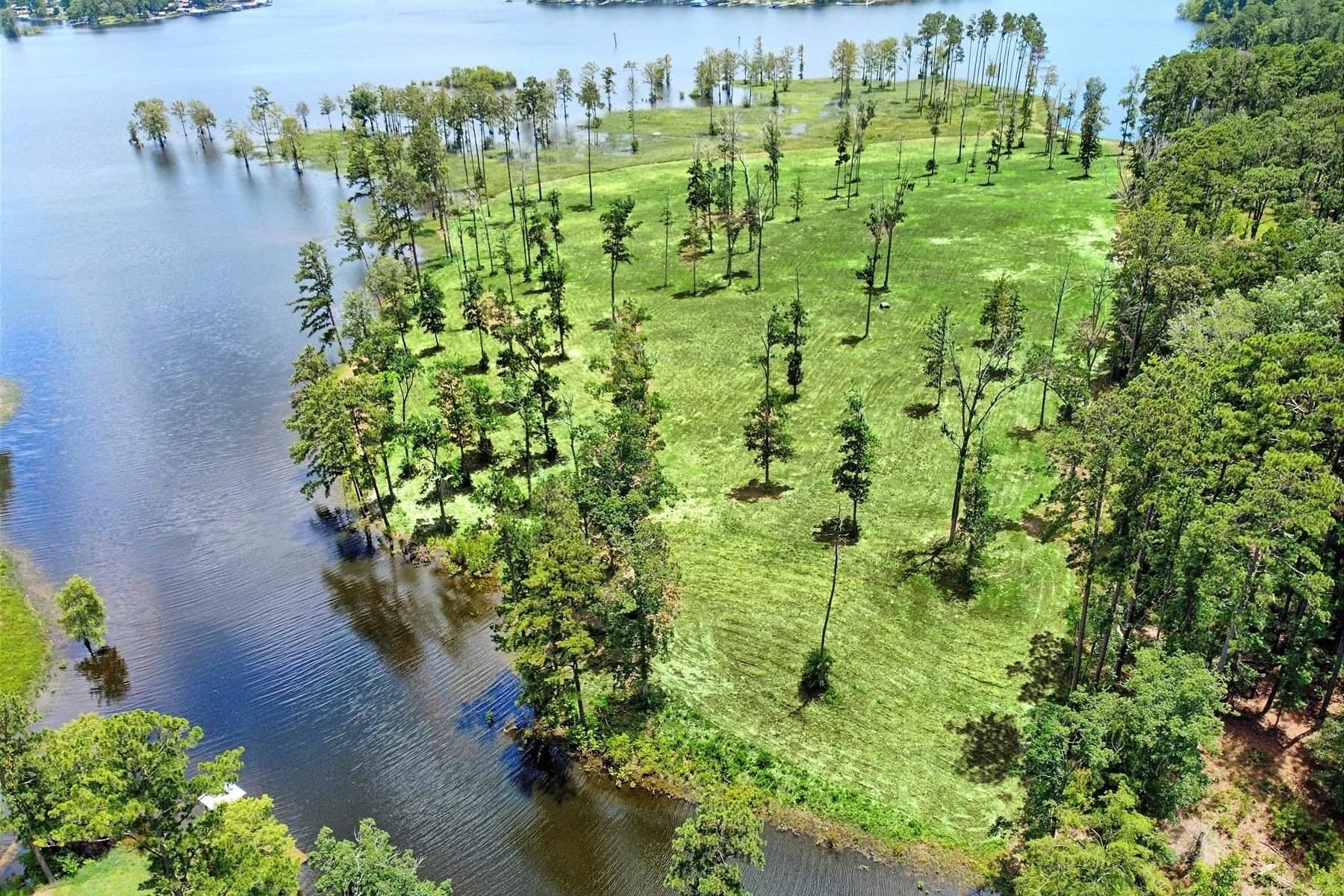 1 acres in Texas County gallery image 3