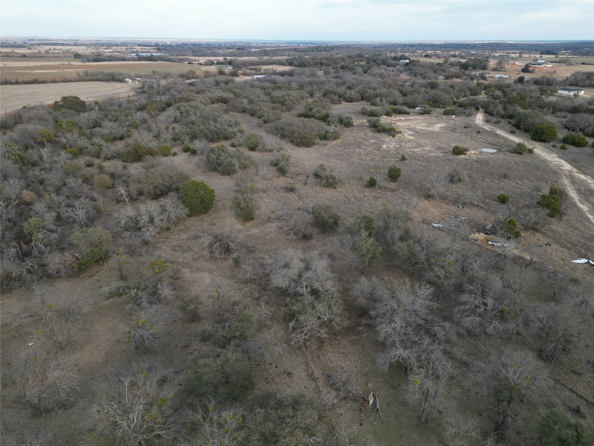62.99 acres in Erath County gallery image 3