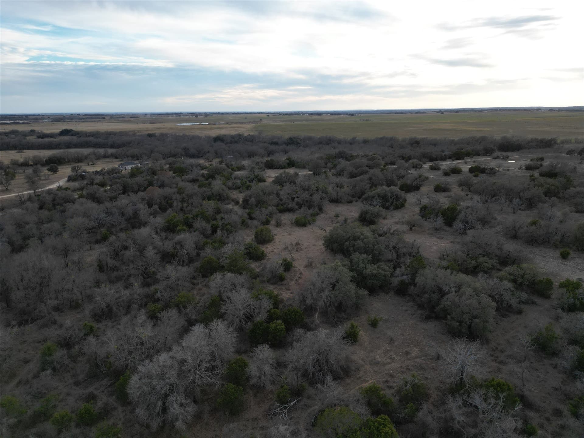62.99 acres in Erath County featured view