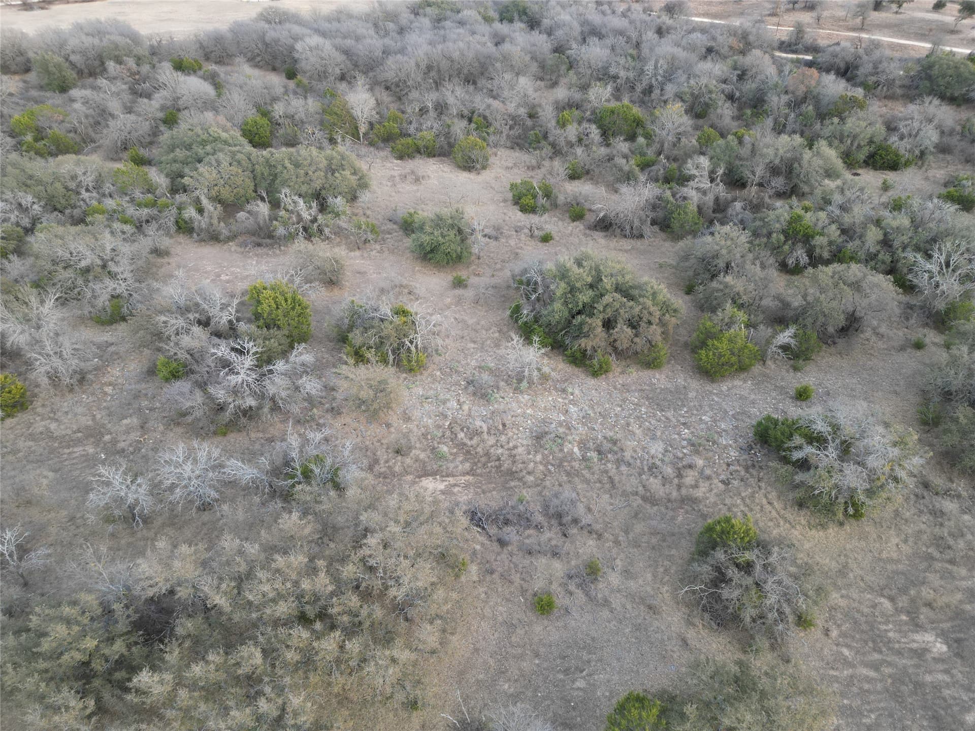 62.99 acres in Erath County gallery image 4