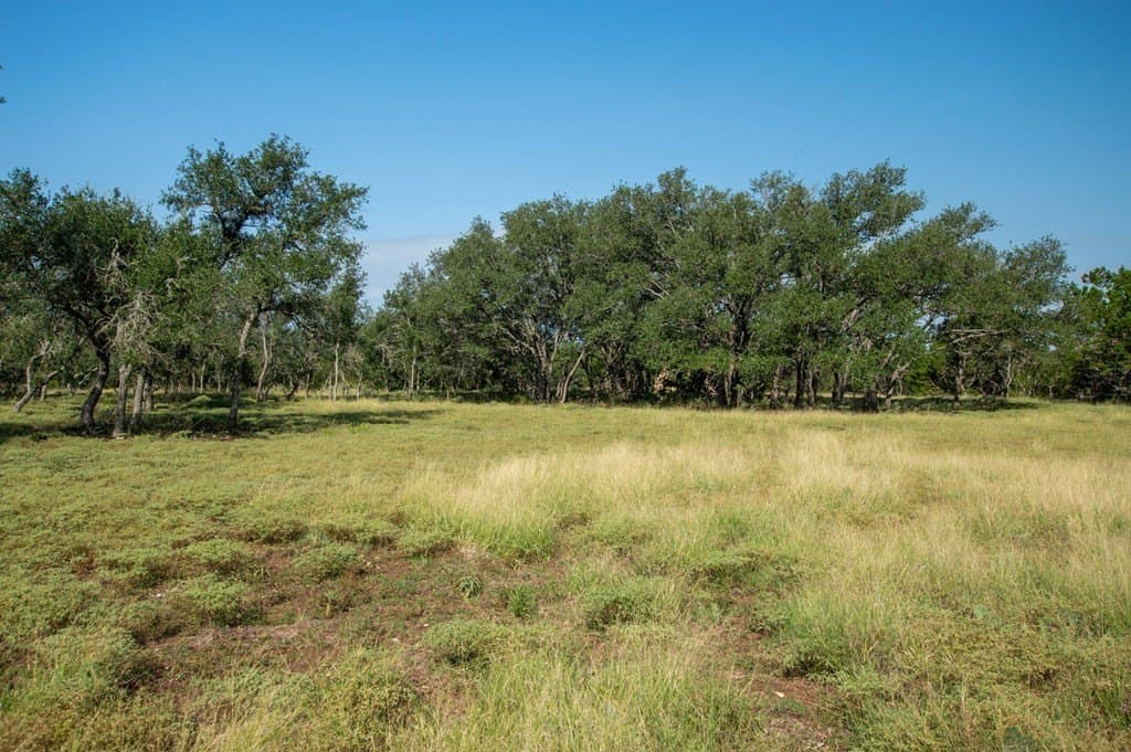 44.52 acres in Real County - photo 12