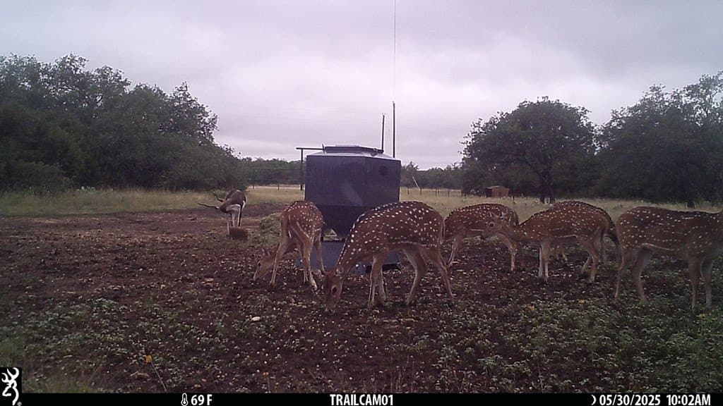 44.52 acres in Real County - photo 27