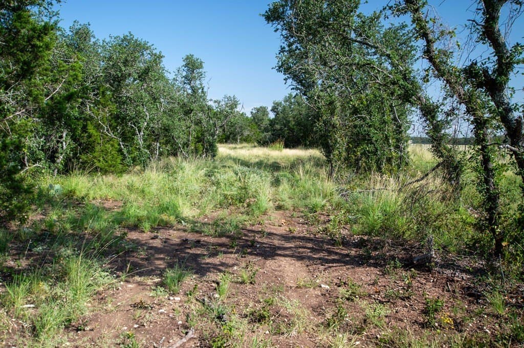 44.52 acres in Real County - photo 14