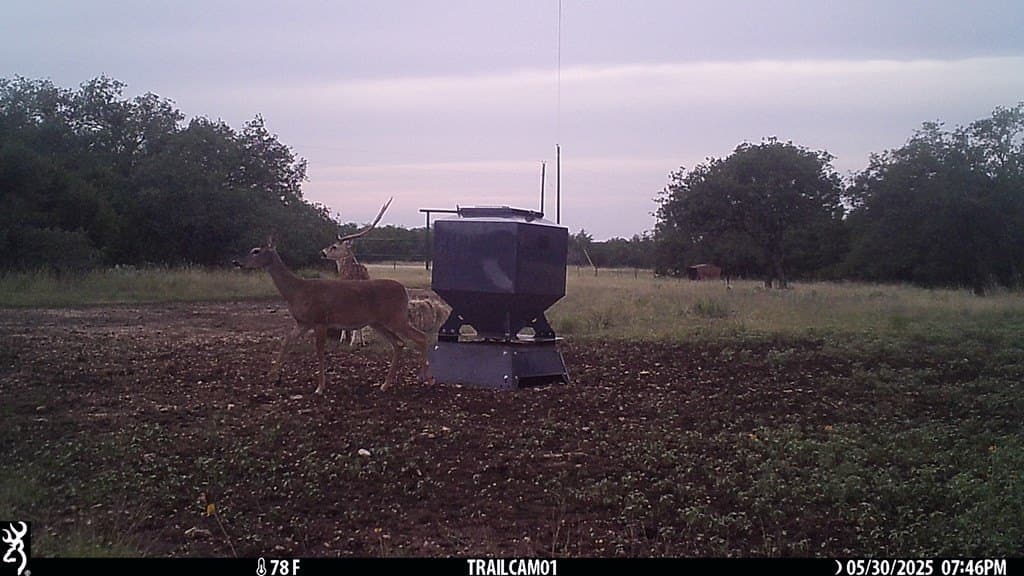 44.52 acres in Real County - photo 28