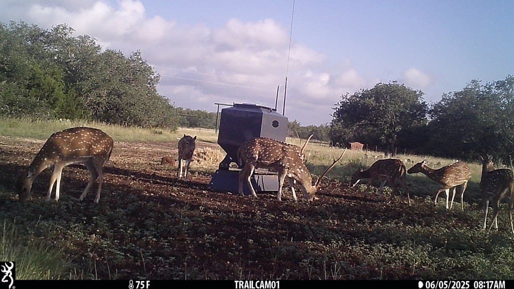 44.52 acres in Real County - photo 21