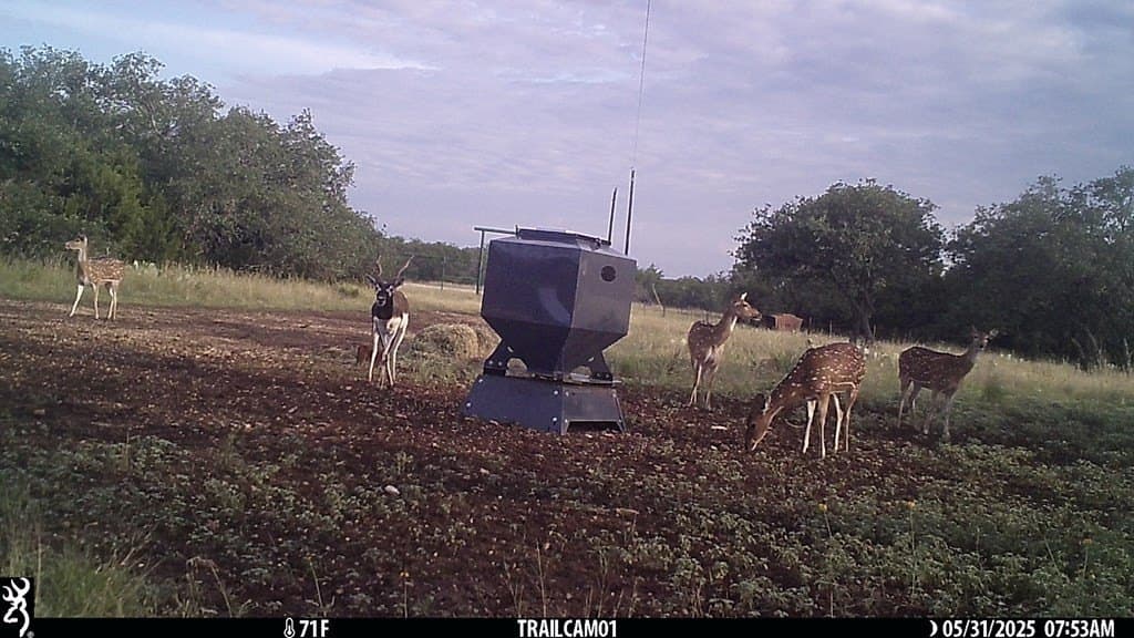 44.52 acres in Real County - photo 22