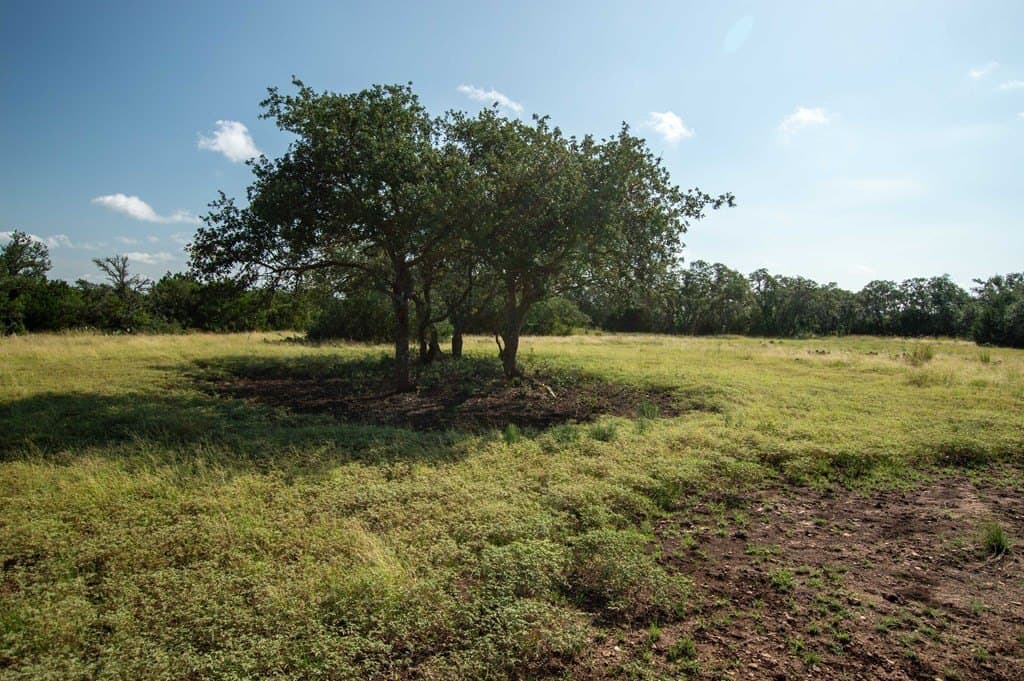 44.52 acres in Real County - photo 10