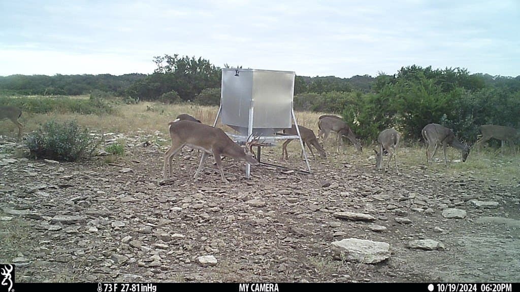 44.52 acres in Real County - photo 29