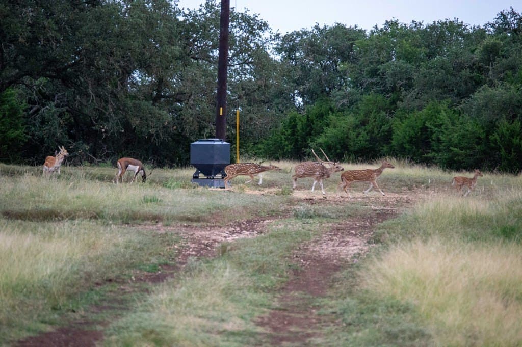 44.52 acres in Real County - photo 19