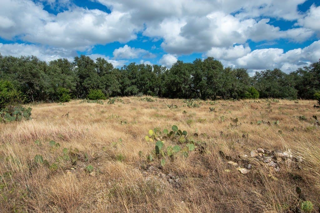 44.52 acres in Real County - photo 13
