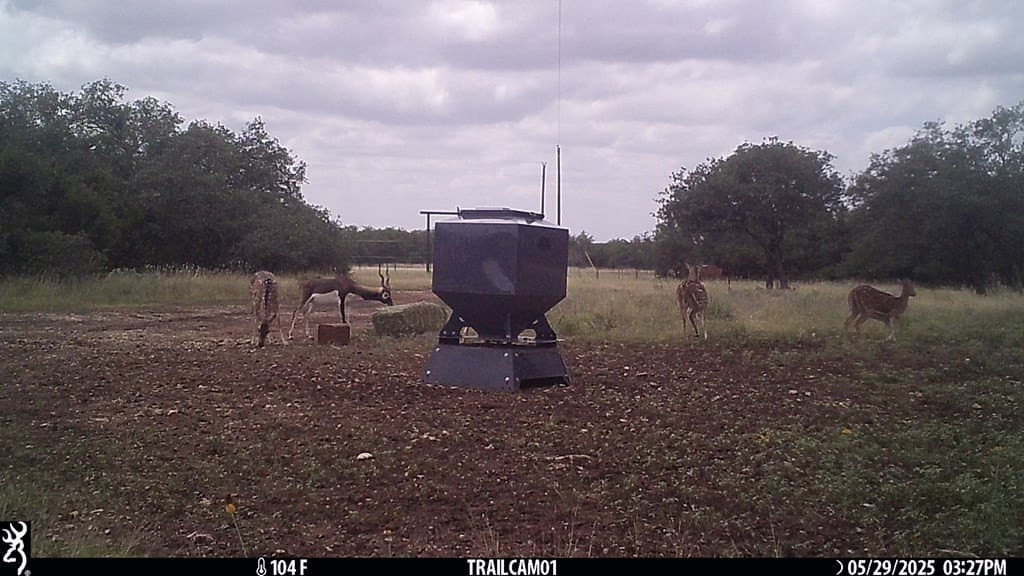 44.52 acres in Real County - photo 25